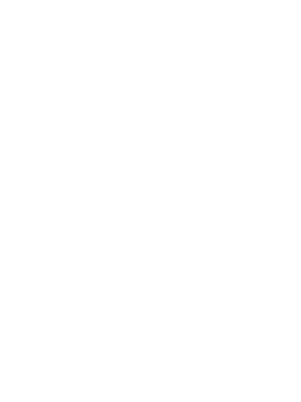 Project Metis